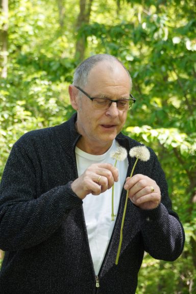 Pusteblume